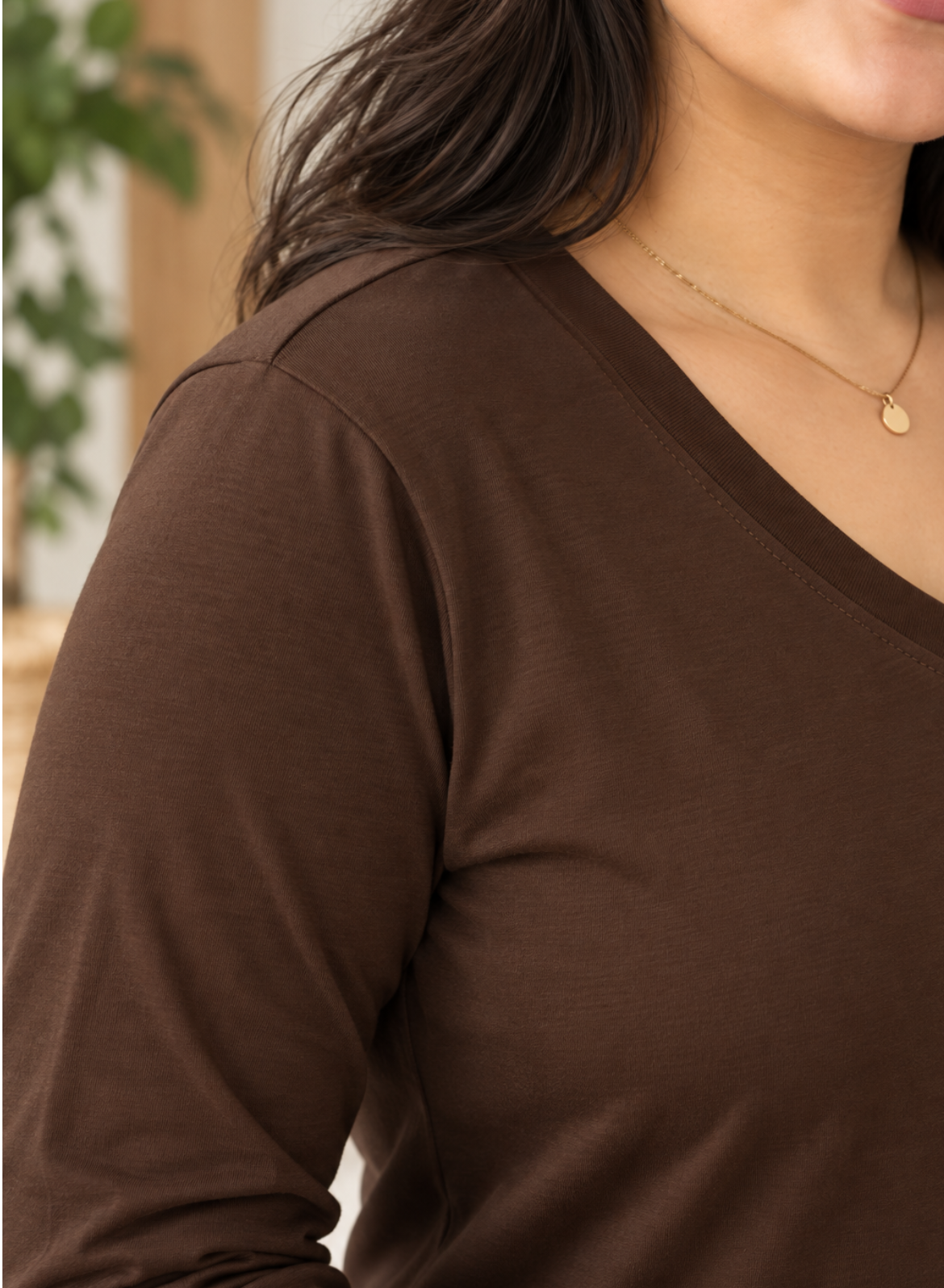 Espresso Brown Full Sleeves V-Neck T-shirt